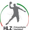 Logo mHSG Friesenheim/Hochdorf 4