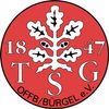 Logo TSG Offenbach-Bürgel II