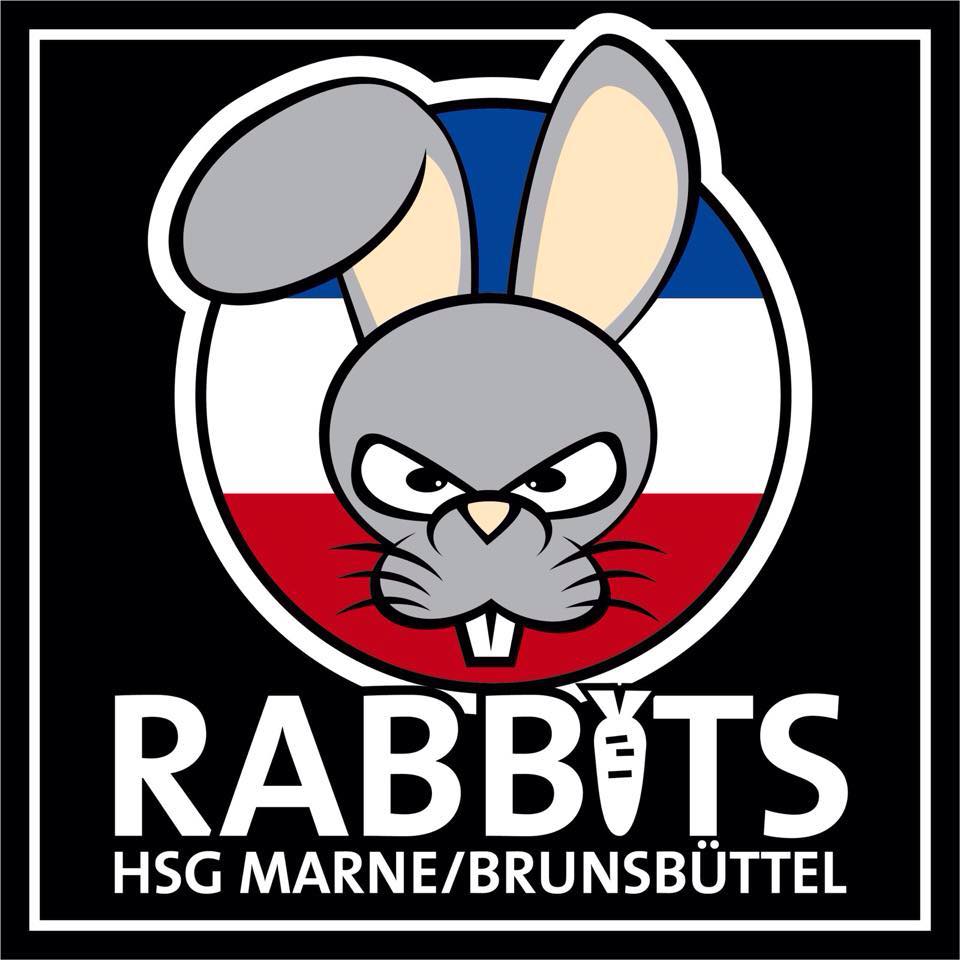 HSG Marne/Brunsbüttel 2