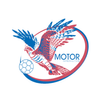 Logo HC Motor Zaporizhzhia