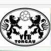 Logo VfB Torgau