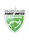 Logo TSV EBE Forst United II