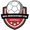 Logo HSG Bergedorf/VM 3