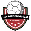 Logo HSG Bergedorf/VM 4