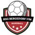 Logo HSG Bergedorf/VM 2