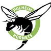 Logo Pulheimer SC 2