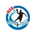 Logo HSG Hochheim/Wicker 1 (m/w)
