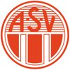 Logo ASV 1863 Cham