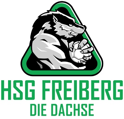 Logo HSG Freiberg III