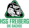Logo HSG Freiberg III