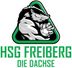 Logo HSG Freiberg e.V. 1