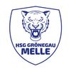 Logo HSG Grönegau-Melle III