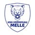 Logo HSG Grönegau-Melle II