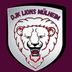 Logo DJK Lions Mülheim