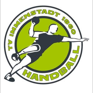 Logo TV Immenstadt II