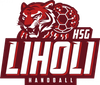 Logo HSG Linkenheim-Hochstetten-Liedolsheim 2