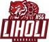 Logo HSG Linkenheim-Hochstetten-Liedolsheim