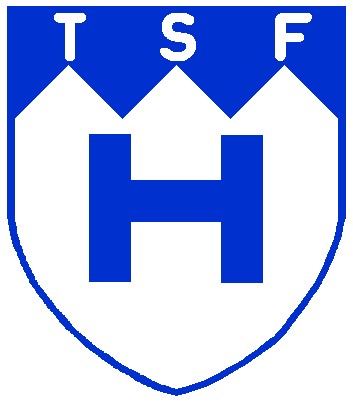 Logo mJSG Heuchelheim/Bieber