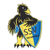 Logo SSV Falkensee 1