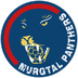 Logo Murgtal Panthers 3