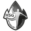 Logo SG TuS Wiebelskirchen-HSG Ottweiler-Steinbach  2