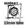 Logo HSG Dietesheim/Mühlheim 1