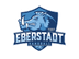 Logo TG Eberstadt II