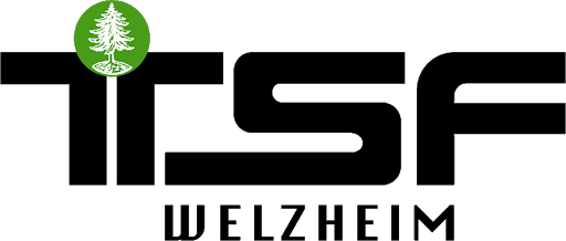 Logo HSG Welzheim-Kaisersbach