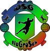 Logo JSG Na/Großbu/Schnmsh