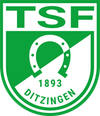 Logo TSF Ditzingen