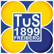 Logo HSG Freiberg-Benningen-Hoheneck 2