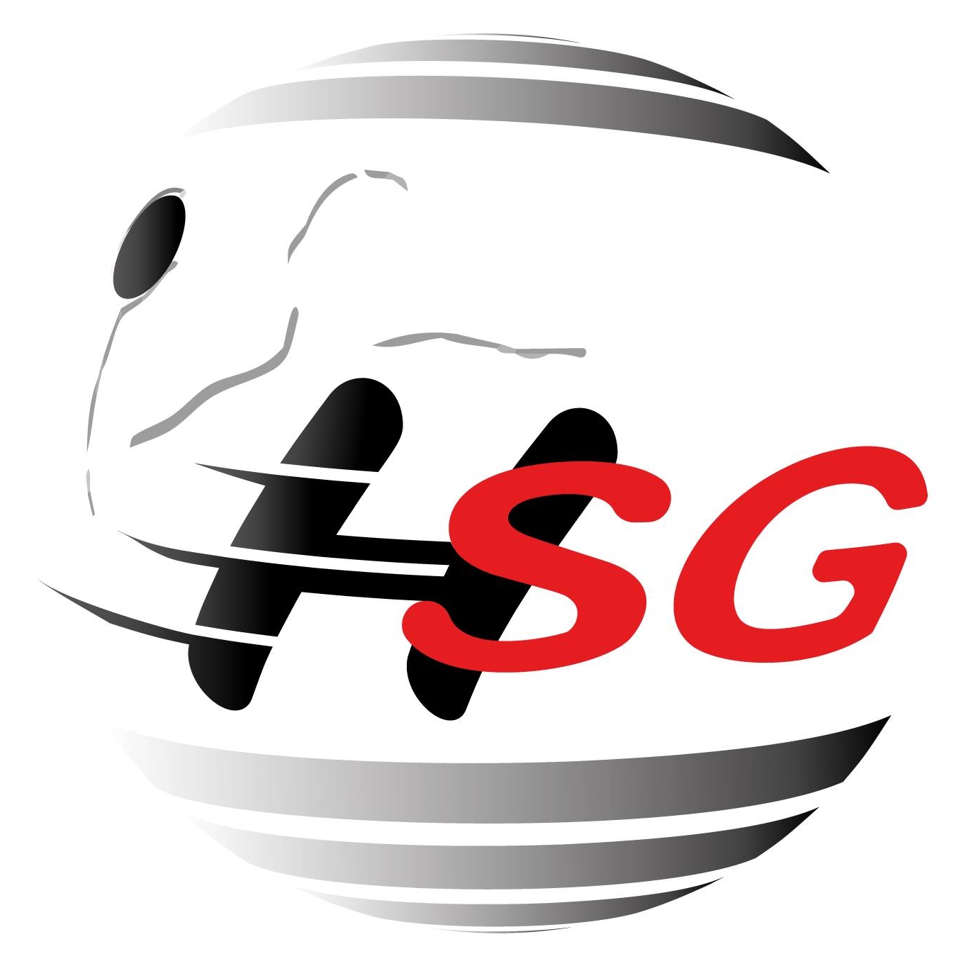 Logo HSG Weschnitztal 2