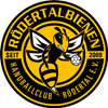 Logo HC Rödertal  II