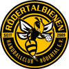 Logo HC Rödertal  1