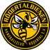 Logo HC Rödertal 