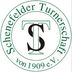 Logo TS Schenefeld