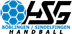 Logo HSG Böblingen/Sindelfingen
