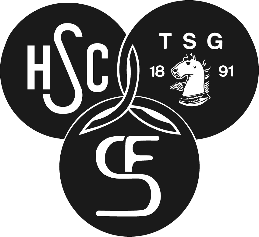 Logo MJSG TSG Ober-Hilbersheim/Ingelheim/Budenheim 2