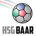 Logo HSG Baar 2