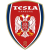 Logo S.S.D. Nikola Tesla