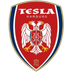 Logo S.S.D. Nikola Tesla