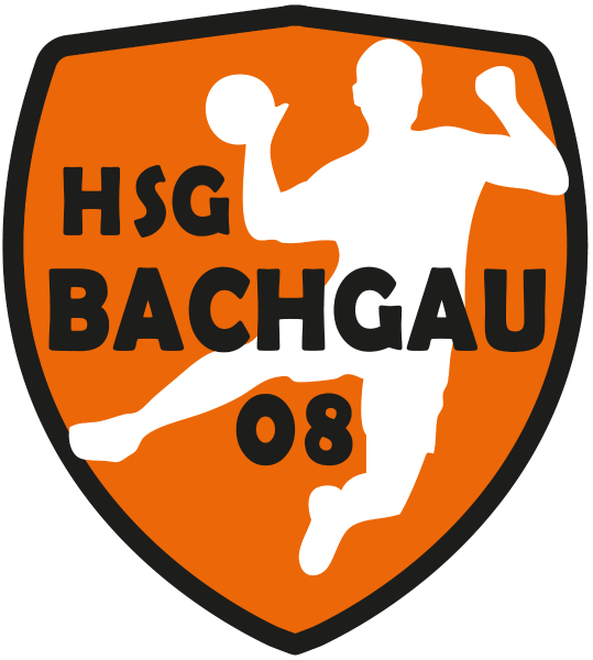 Logo HSG Bachgau III