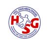 Logo HSG Zwehren/Kassel II