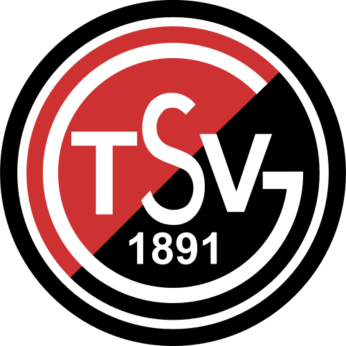 Logo SVW 3