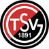 Logo SVW 3