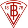 Logo TV Birkenfeld