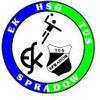 Logo HSG Spradow 2