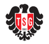 Logo TSG Kaiserslautern