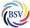 Logo BSV Kisdorf