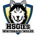 Logo HSG Winterbach/Weiler 2